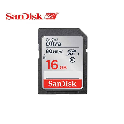 SANDISK)SDHC Ultra (16GB)