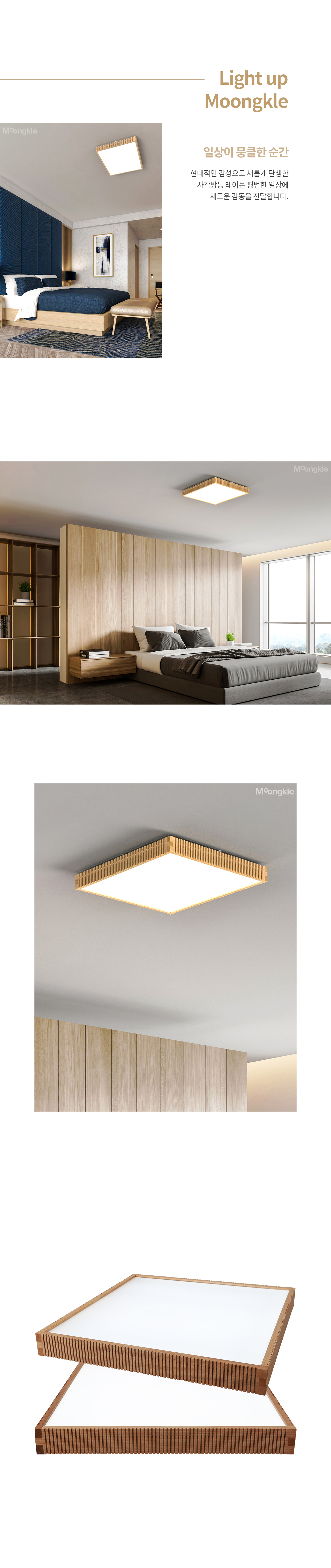 ray-ceiling-lamp-02_103156.jpg
